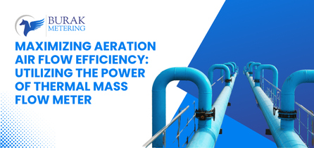 Aeration air flow using thermal mass flow meter