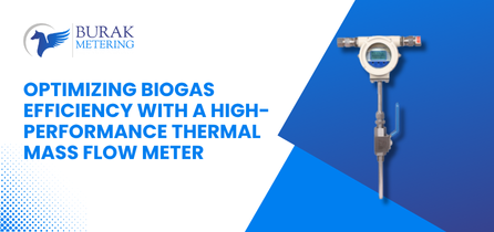 Thermal mass flow meter for biogas application