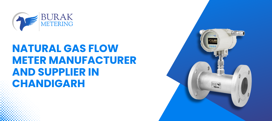 Natural Gas Flow Meter Manufacturer and Supplier in Chandigarh