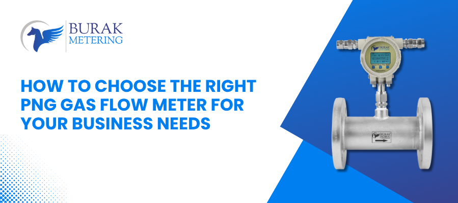 How to Choose the Right PNG Gas Flow Meter for Your Business Needs