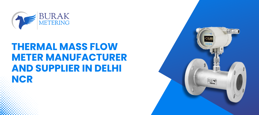Thermal Mass Flow Meter Manufacturer and Supplier in Delhi NCR