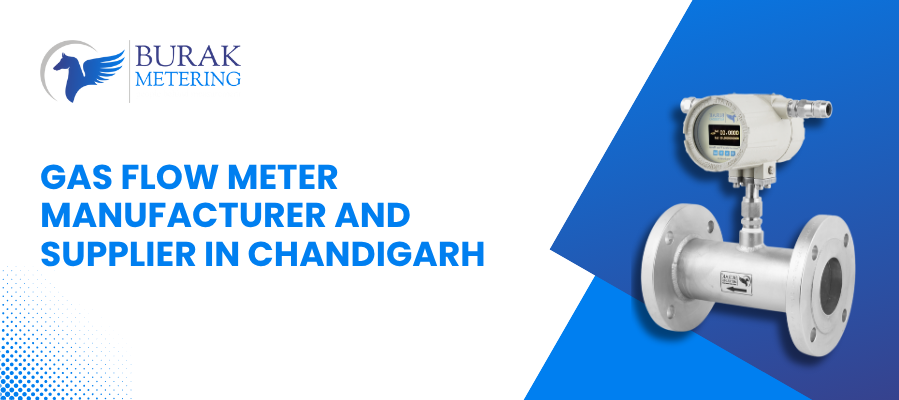 Gas Flow Meter Manufacturer and Supplier in Chandigarh