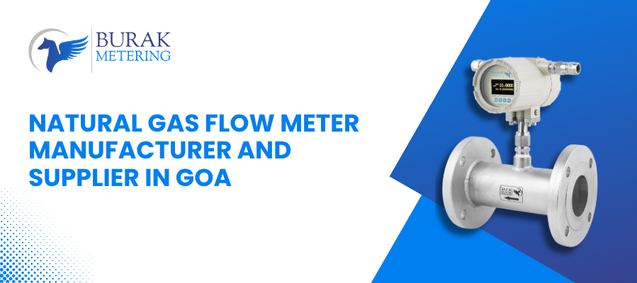 Natural Gas Flow Meter Manufacturer and Supplier in Goa