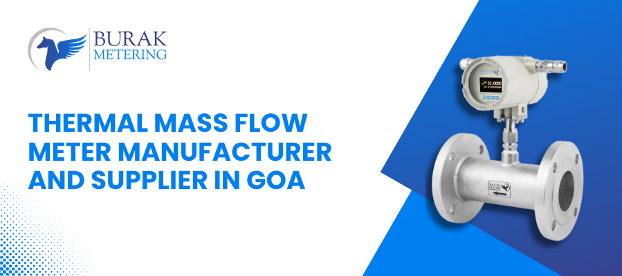 Thermal Mass Flow Meter Manufacturer and Supplier in Goa