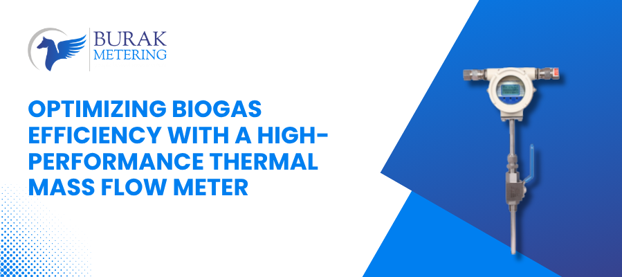 Thermal mass flow meter for biogas application