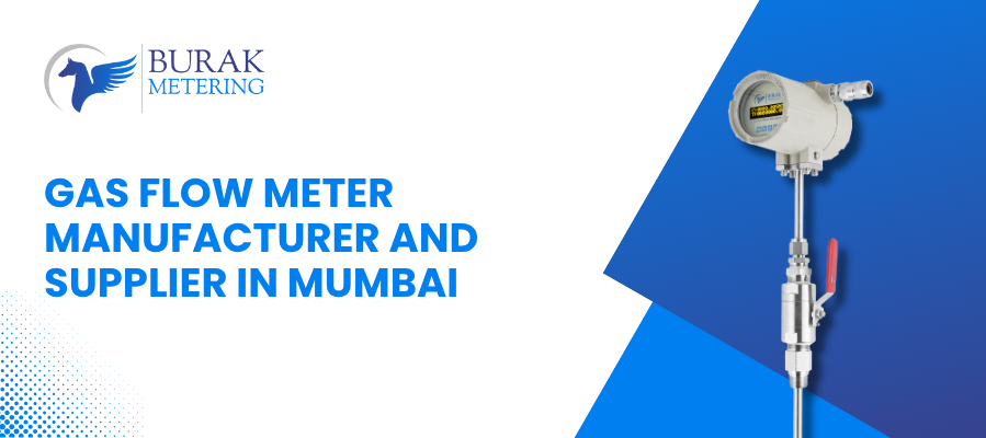 Gas Flow Meter Manufacturer and Supplier in Mumbai