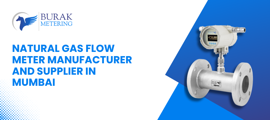 Natural Gas Flow Meter Manufacturer and Supplier in Mumbai