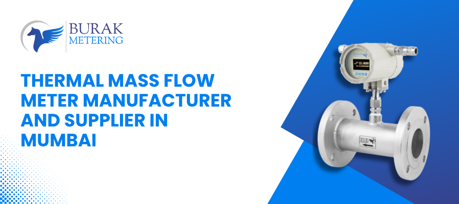Thermal Mass Flow Meter Manufacturer and Supplier in Mumbai