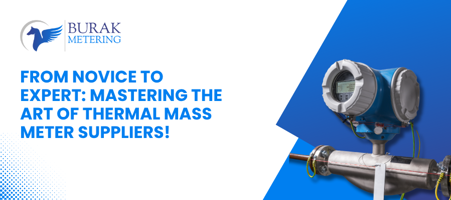From Novice To Expert: Mastering The Art Of Thermal Mass Meter Suppliers!