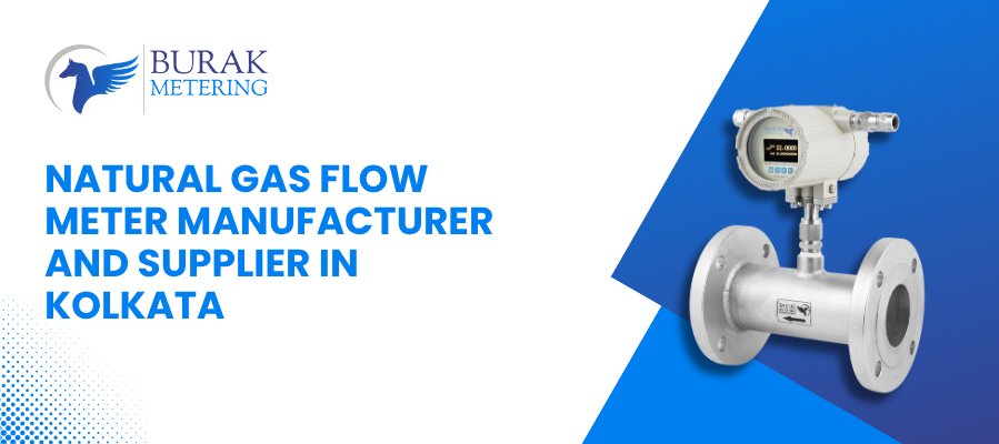 Natural Gas Flow Meter Manufacturer and Supplier in Kolkata