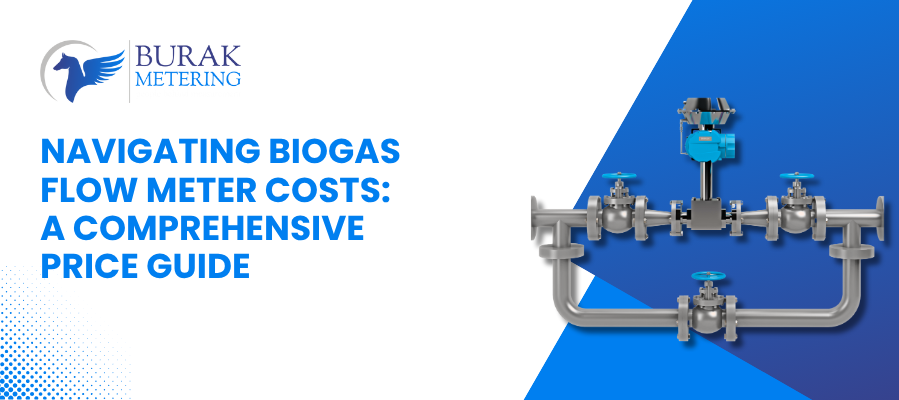 Navigating Biogas Flow Meter Costs: A Comprehensive Price Guide