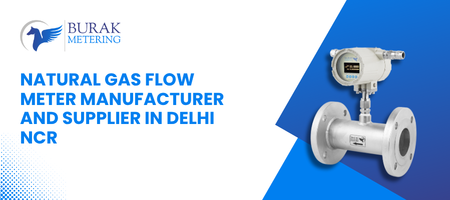 Natural Gas Flow Meter Manufacturer and Supplier in Delhi NCR
