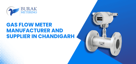 Gas Flow Meter Manufacturer and Supplier in Chandigarh