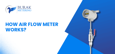 How Air Flow Meter Works?