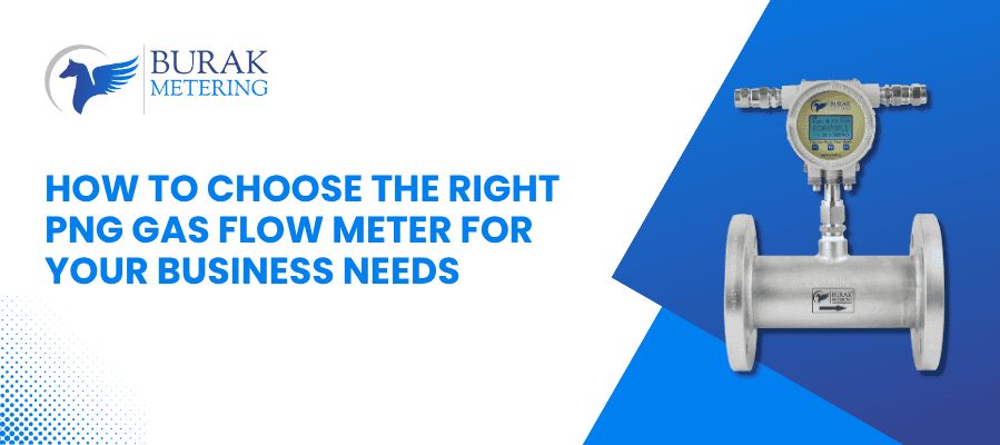 How to Choose the Right PNG Gas Flow Meter for Your Business Needs