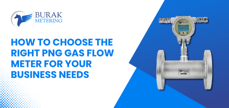 How to Choose the Right PNG Gas Flow Meter for Your Business Needs