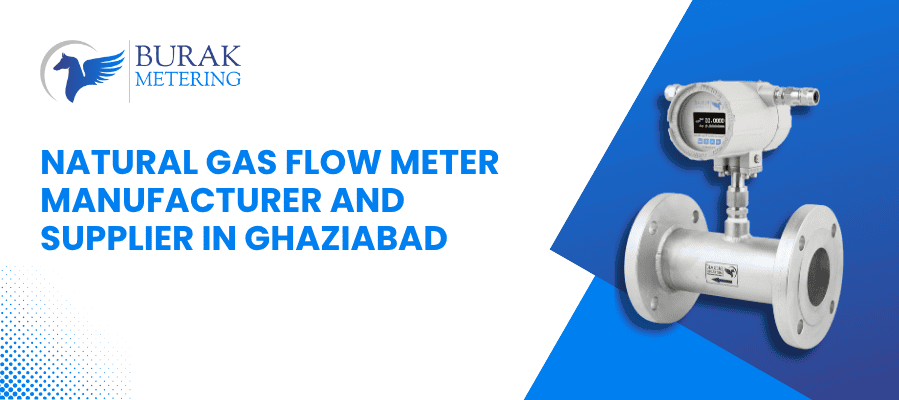 Natural Gas Flow Meter Manufacturer and Supplier in Ghaziabad