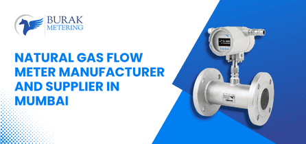 Natural Gas Flow Meter Manufacturer and Supplier in Mumbai