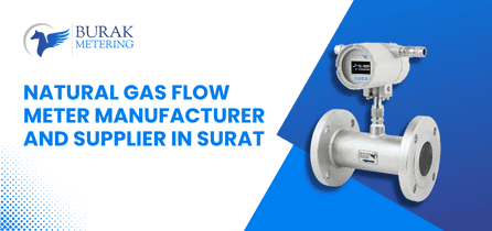 Natural Gas Flow Meter Manufacturer and Supplier in Surat