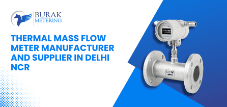 Thermal Mass Flow Meter Manufacturer and Supplier in Delhi NCR