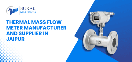 Thermal Mass Flow Meter Manufacturer and Supplier in Jaipur