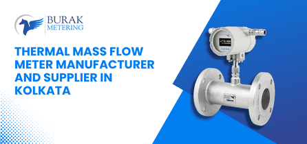 Thermal Mass Flow Meter Manufacturer and Supplier in Kolkata