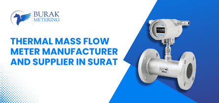 Thermal Mass Flow Meter Manufacturer and Supplier in Surat