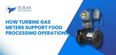 Industrial Turbine Gas Meter Applications for Food & Beverage