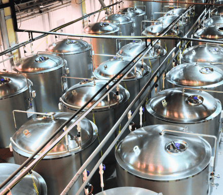 Extraction, Fermentation, and Purification in Pharmaceutical Industry