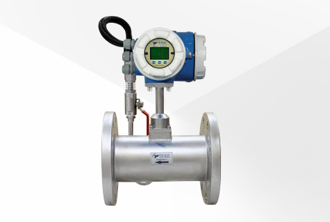 front of Vortex flow meter BX-6010-G